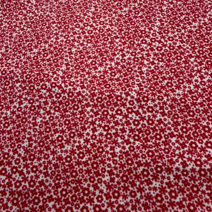 Coton Imprimé 068