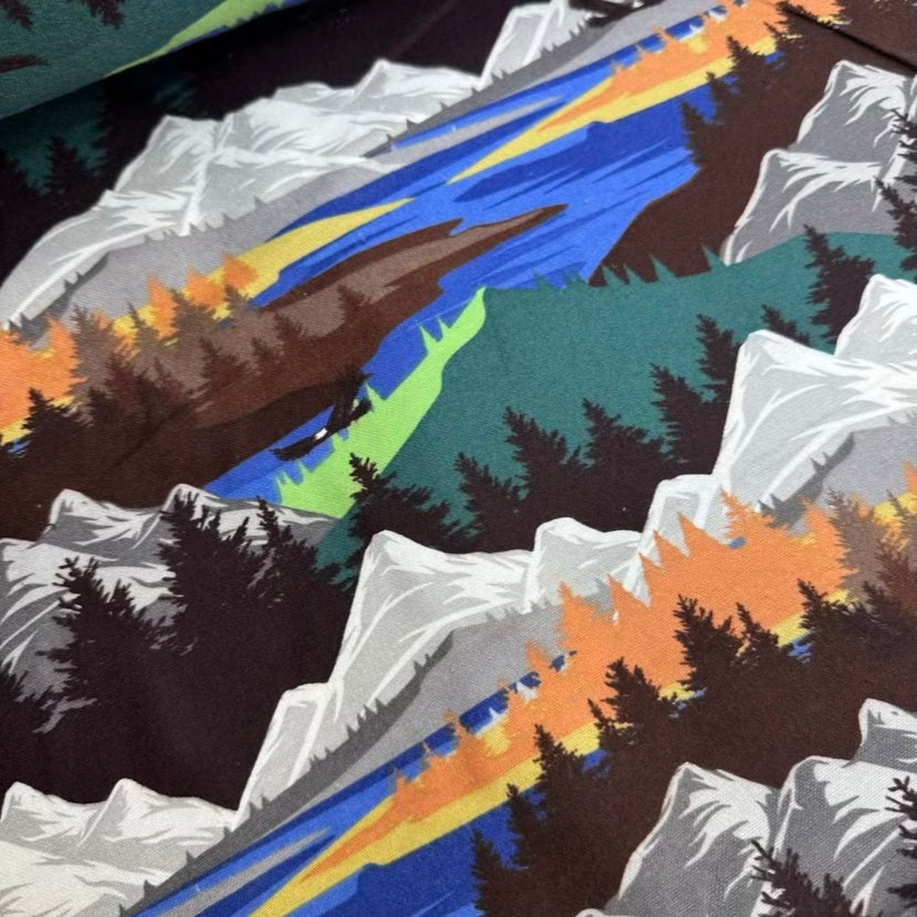 Flanelle Imprimée 021