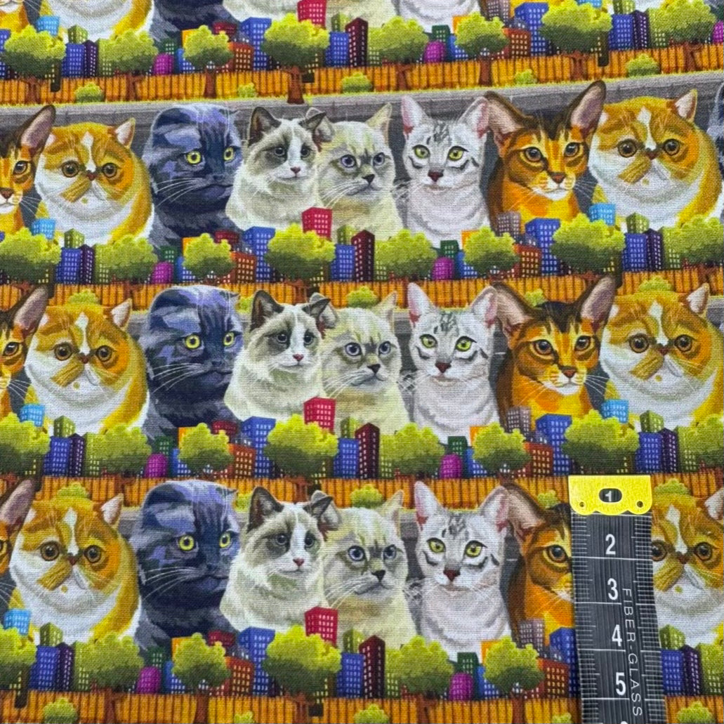 Coton Imprimé 589