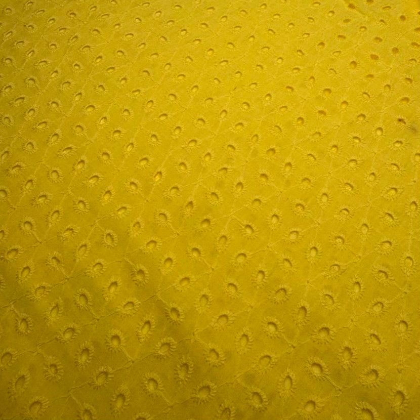 Broderie Anglaise #4 Jaune