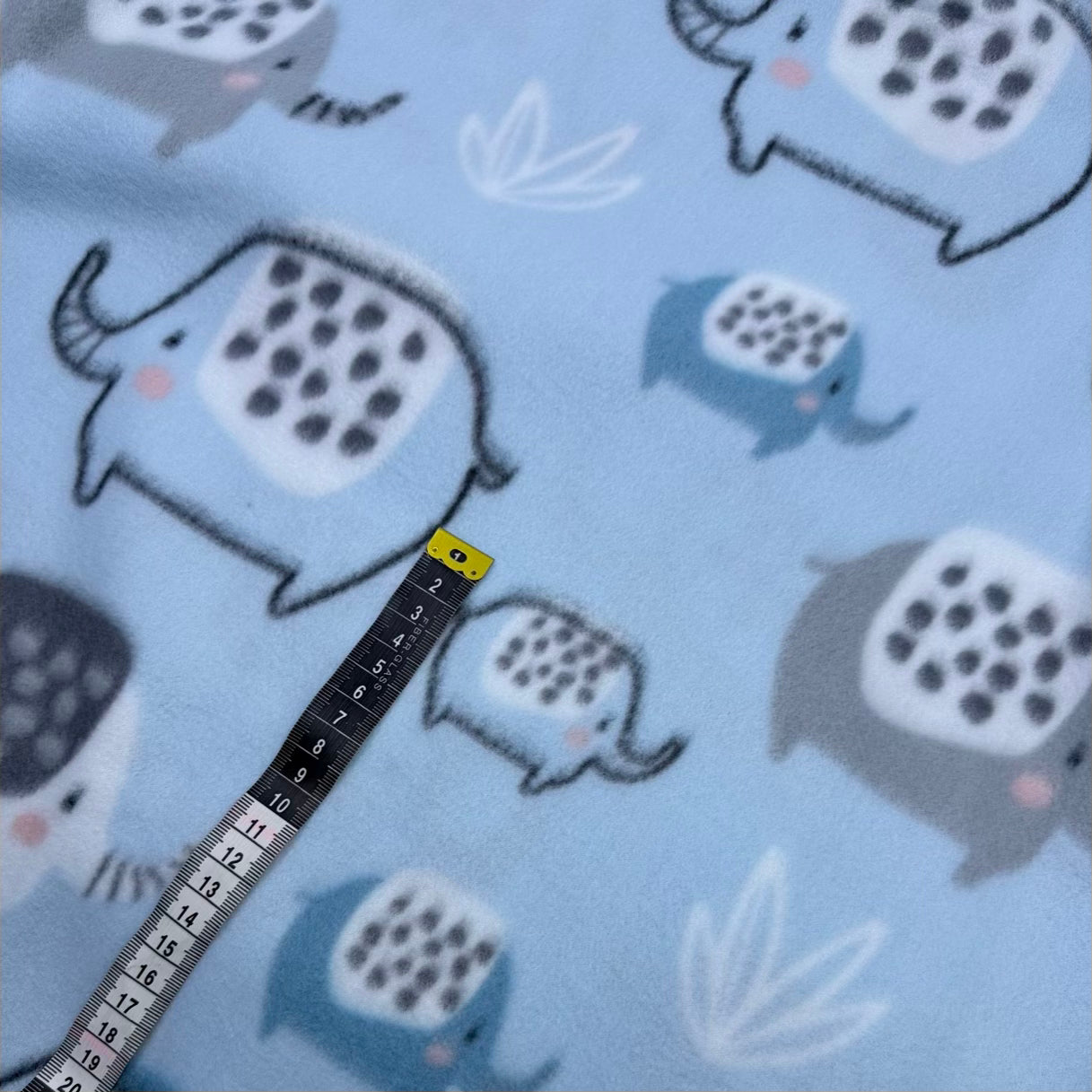 Polar 024