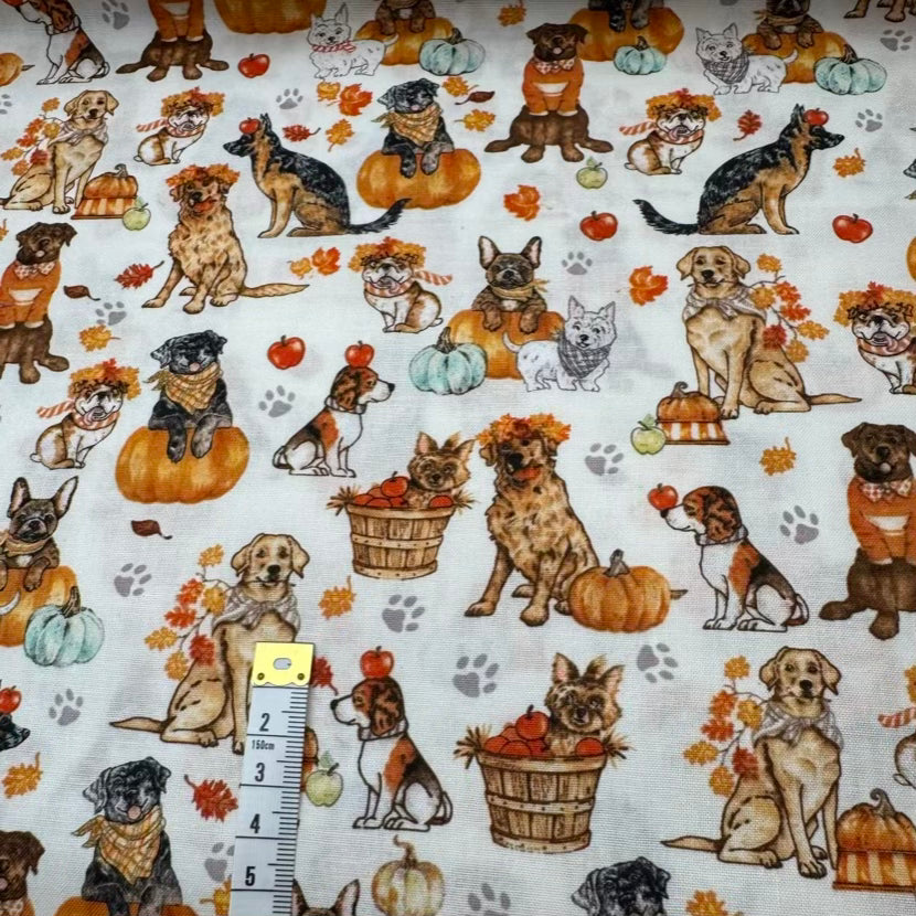 Coton Imprimé 346