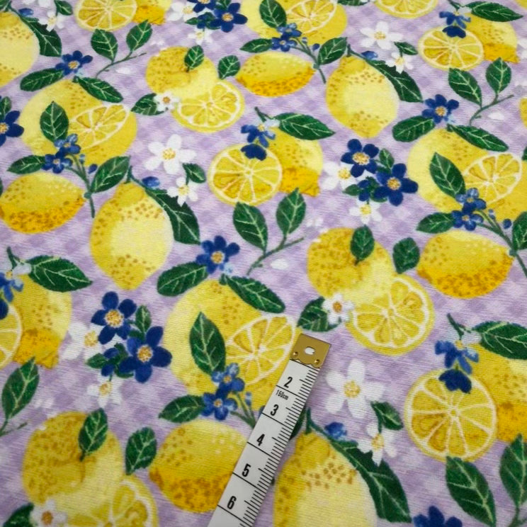 Flanelle Imprimée 205