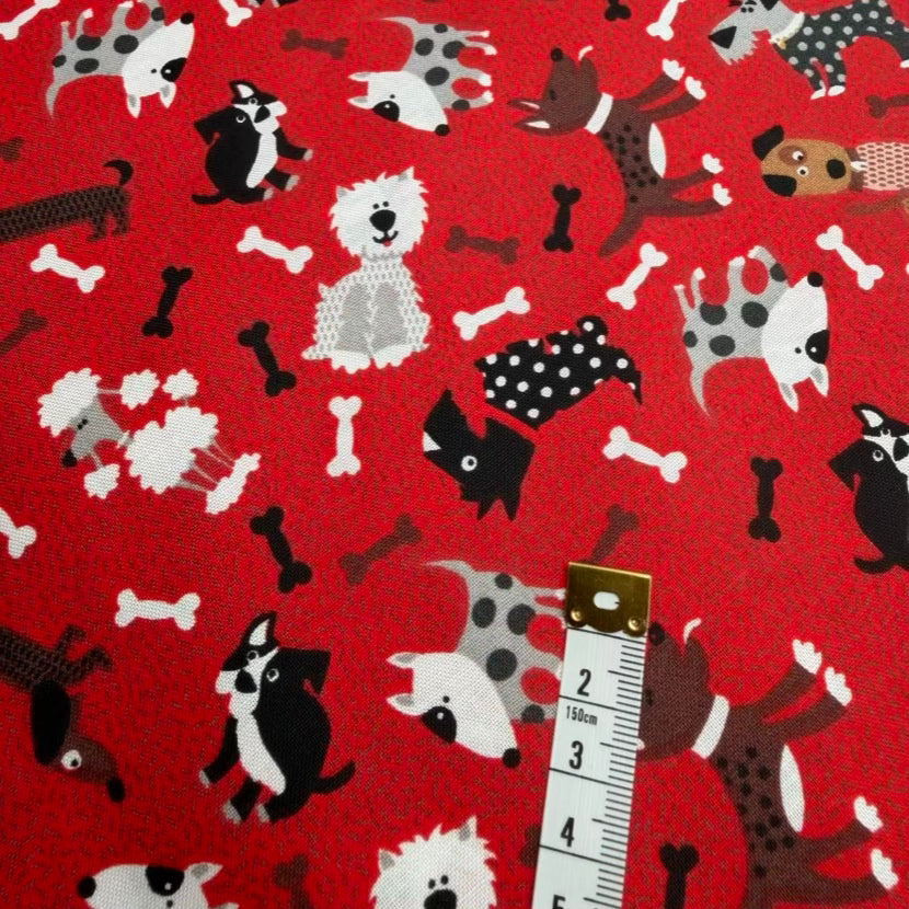 Coton Imprimé 025
