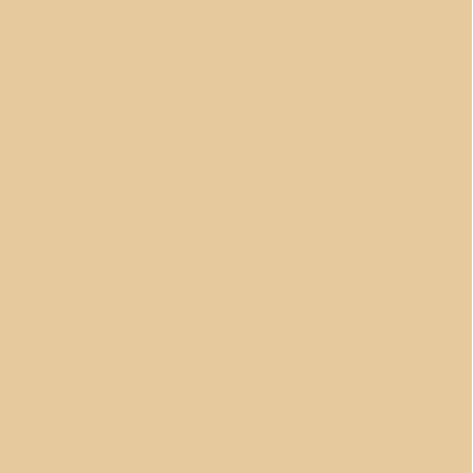 Plain Cotton Steel 0123