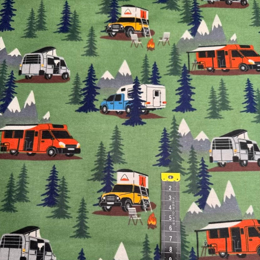 Flanelle Imprimée 293