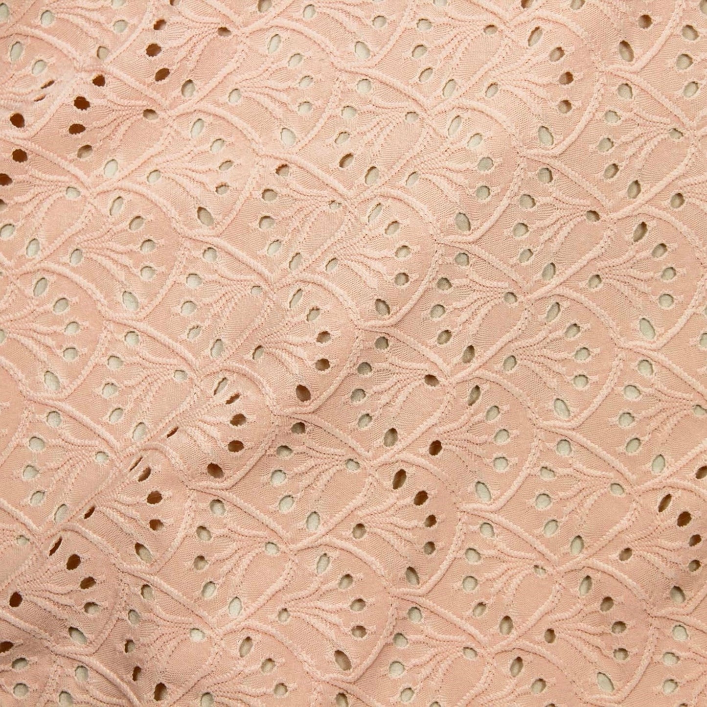 Broderie Extensible #2 Blush 06