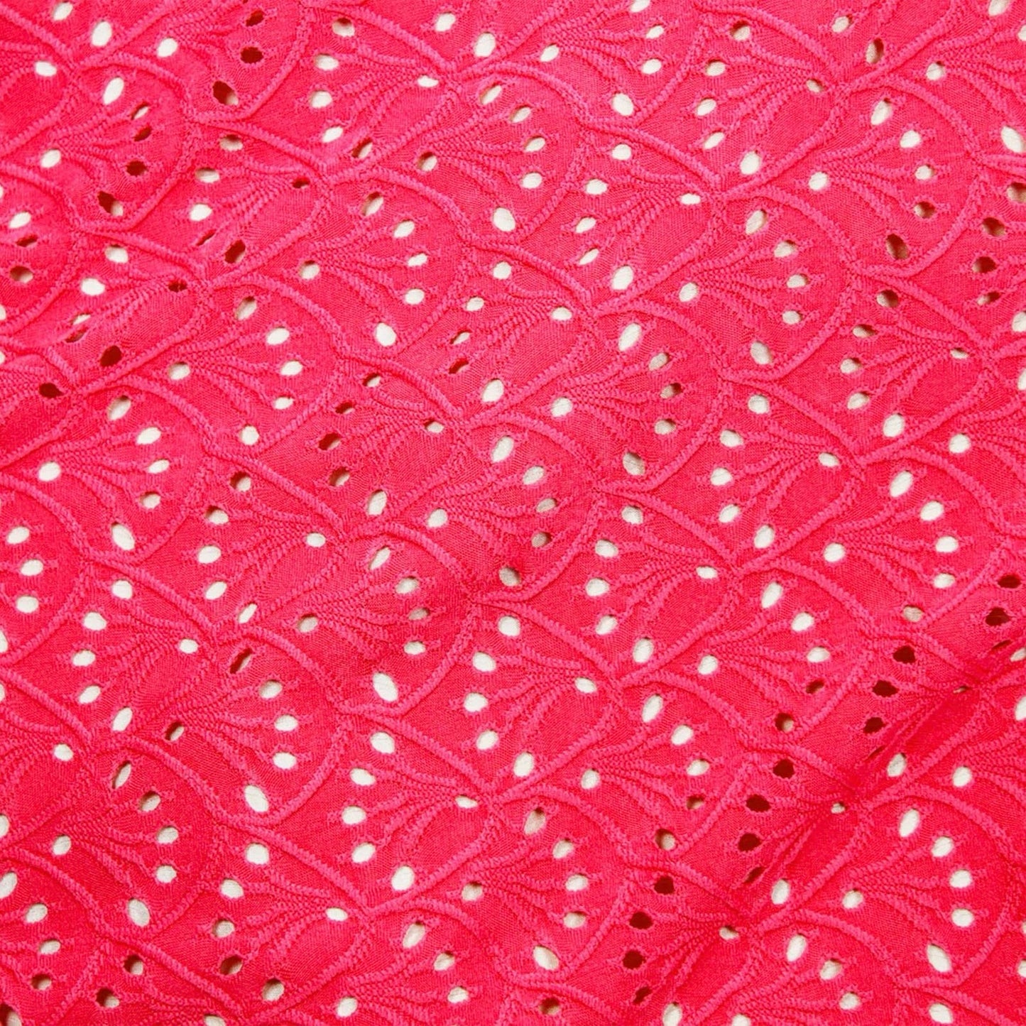 Broderie Extensible #2 Fushia 09