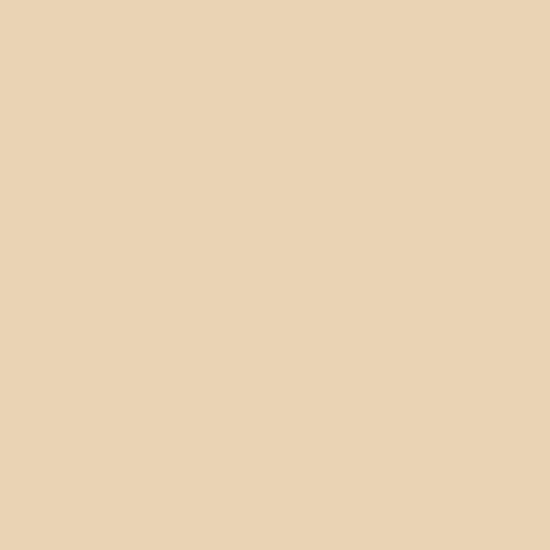 Jersey Viscose Beige