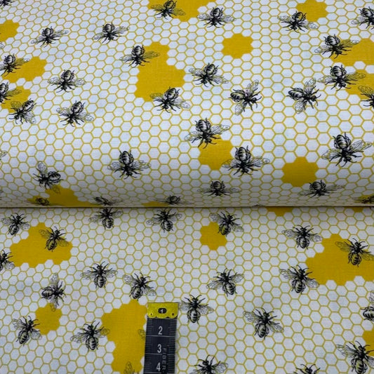 Coton Imprimé 451