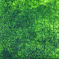 Coton Imprimé 583