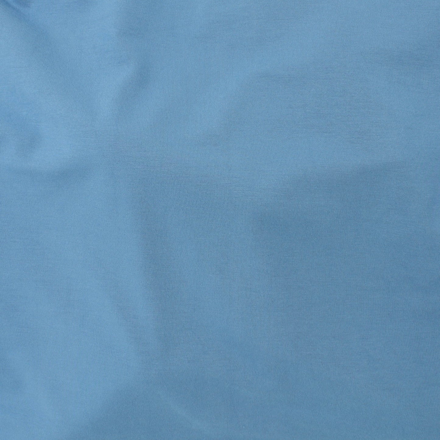 Jersey Rayonne Bleu 21