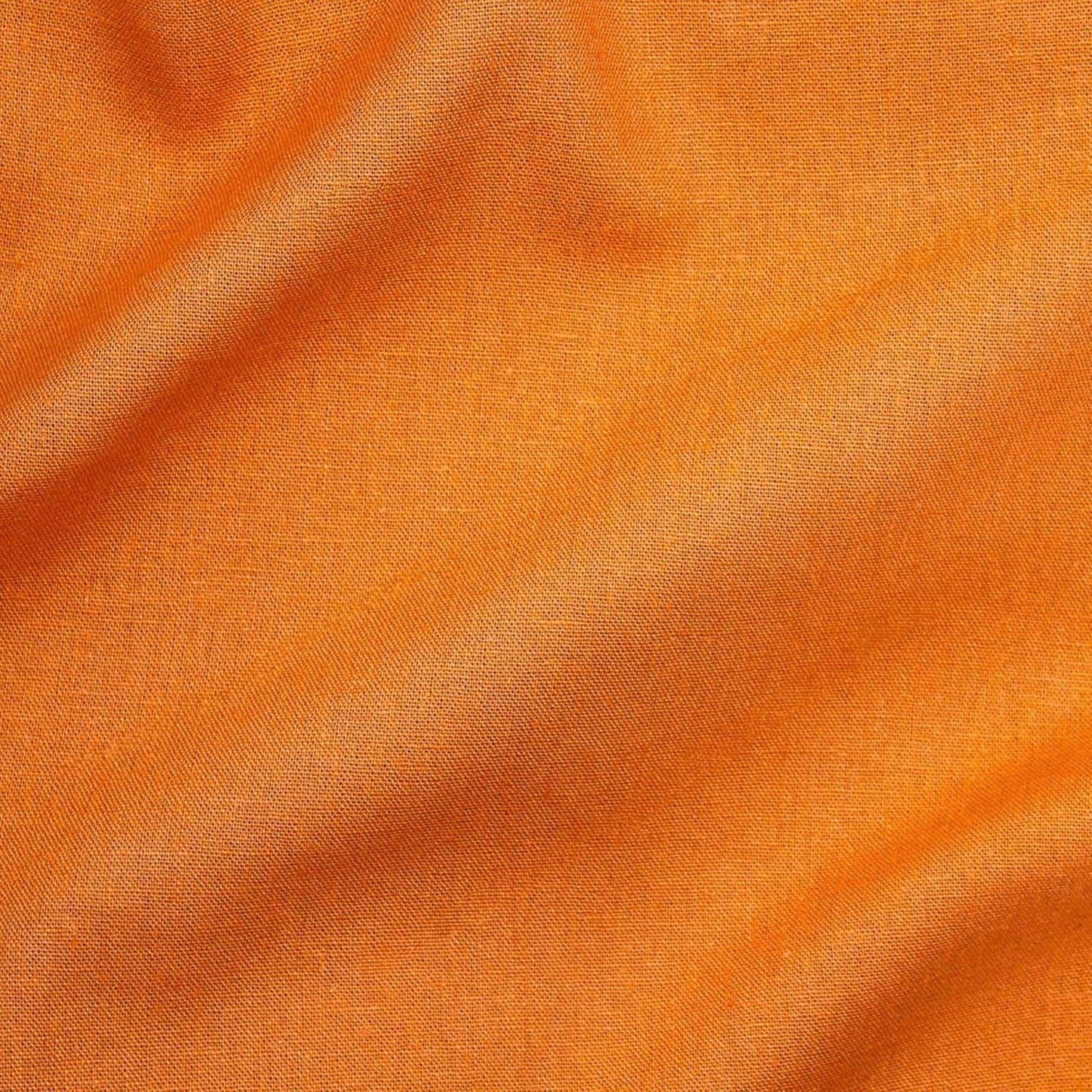Lin Palma Citrouille 21