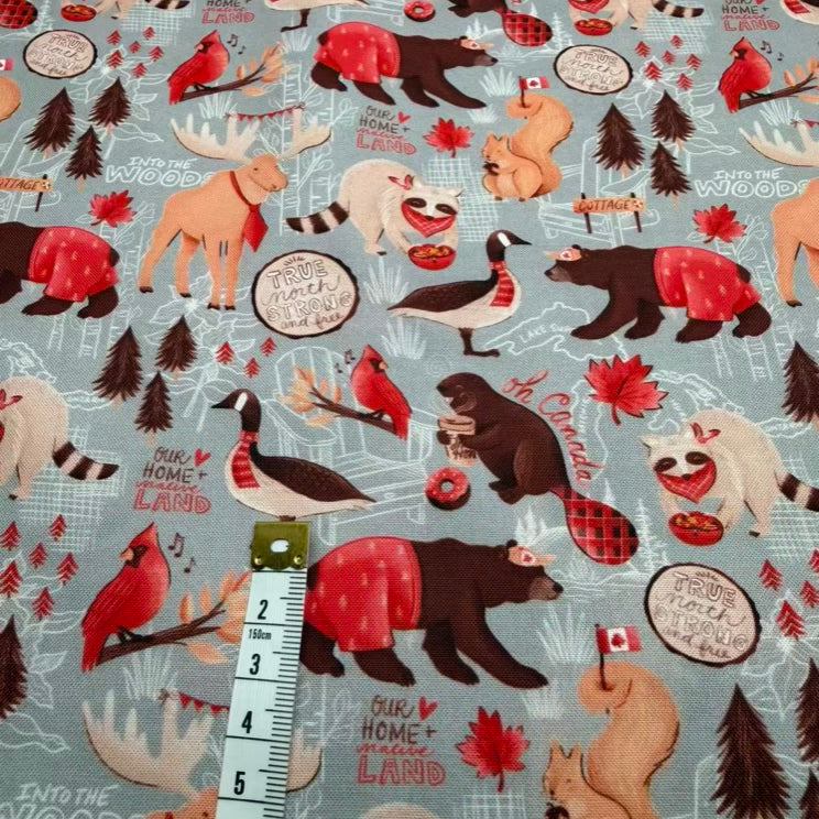 Coton Imprimé 152
