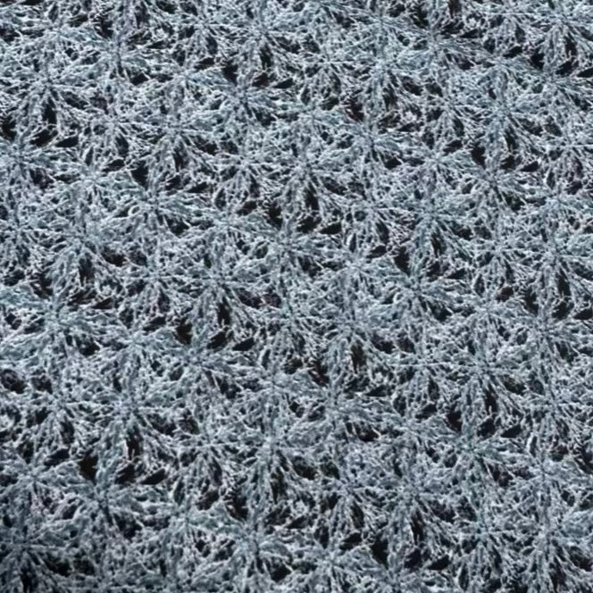Coton Imprimé 581