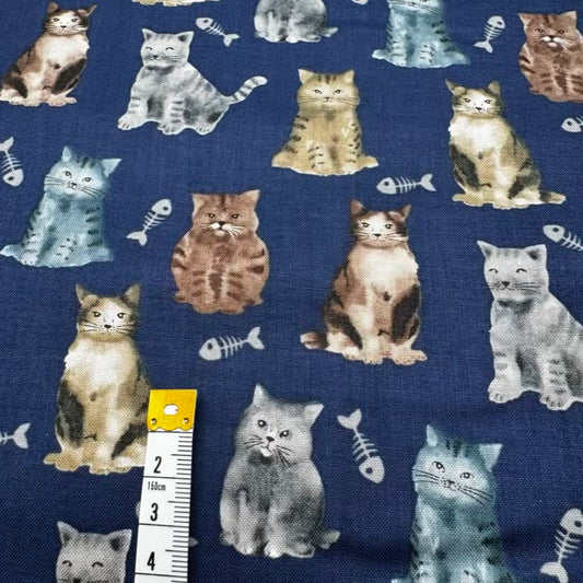 Coton Imprimé 342