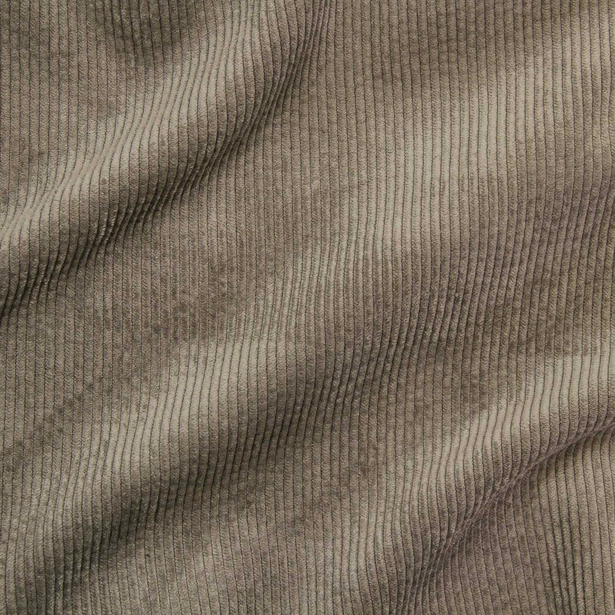 Velour Côtelé Look Lavé Taupe 11