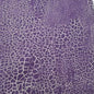 Coton Imprimé 260