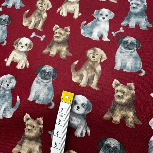 Coton Imprimé 345