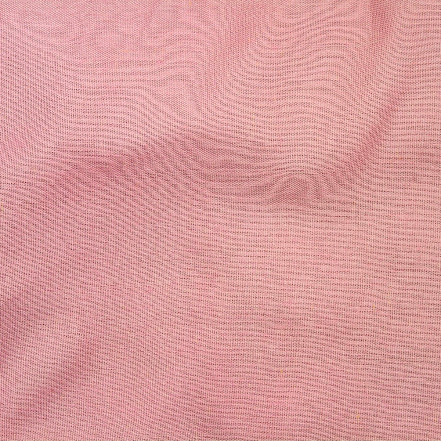 Lin Palma Rose 07