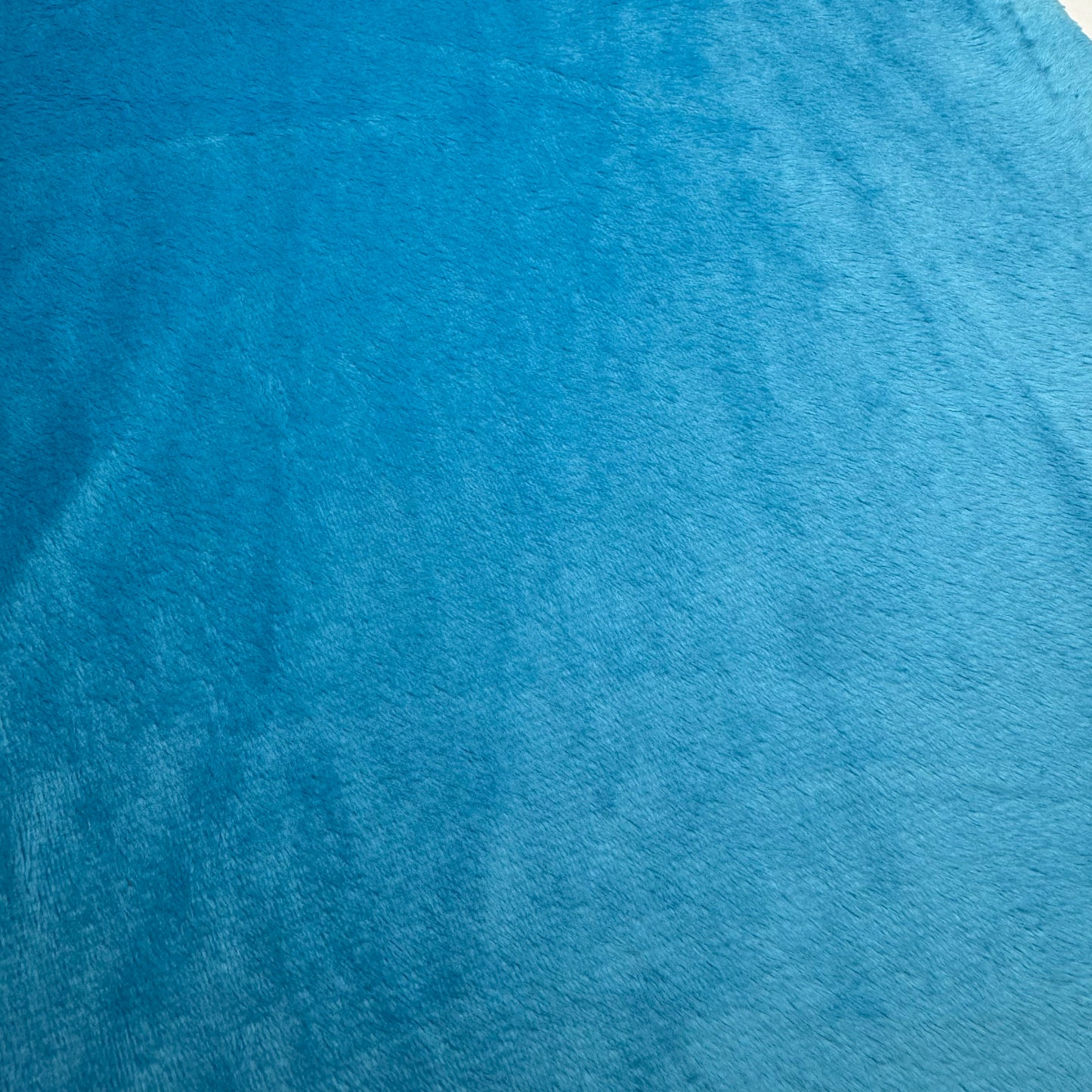 Minky Velour Aqua 19