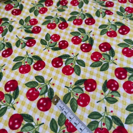 Flanelle Imprimée 181