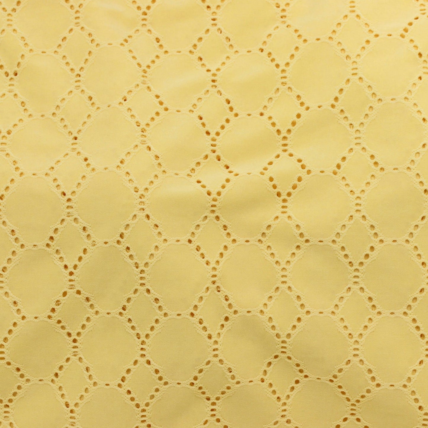 Broderie Extensible Canari 07