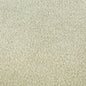 Sherpa Teddy Beige 08