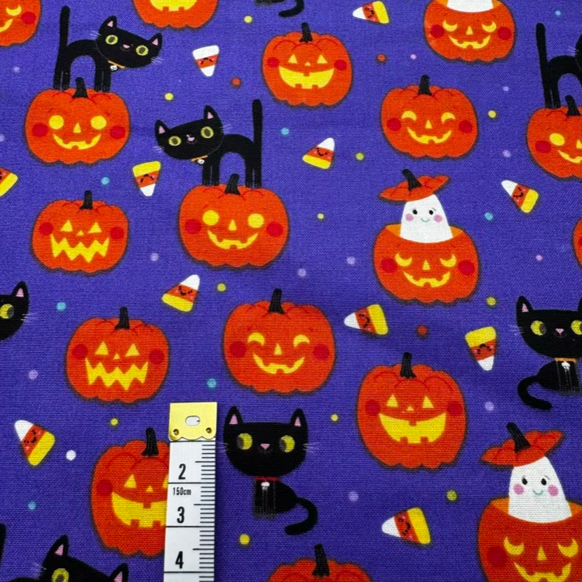 Coton Imprimé 355