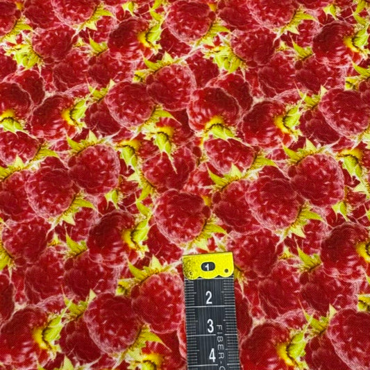 Coton Imprimé 560