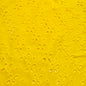 Broderie Anglaise #5 Jaune