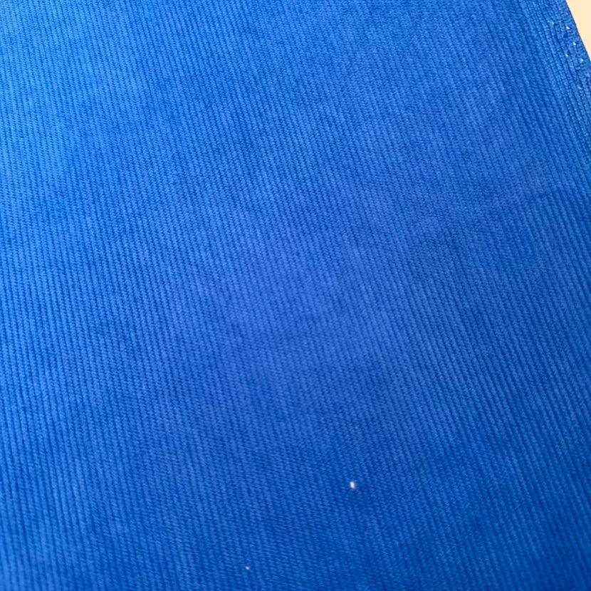 Velour Côtelé 1x1 Royal