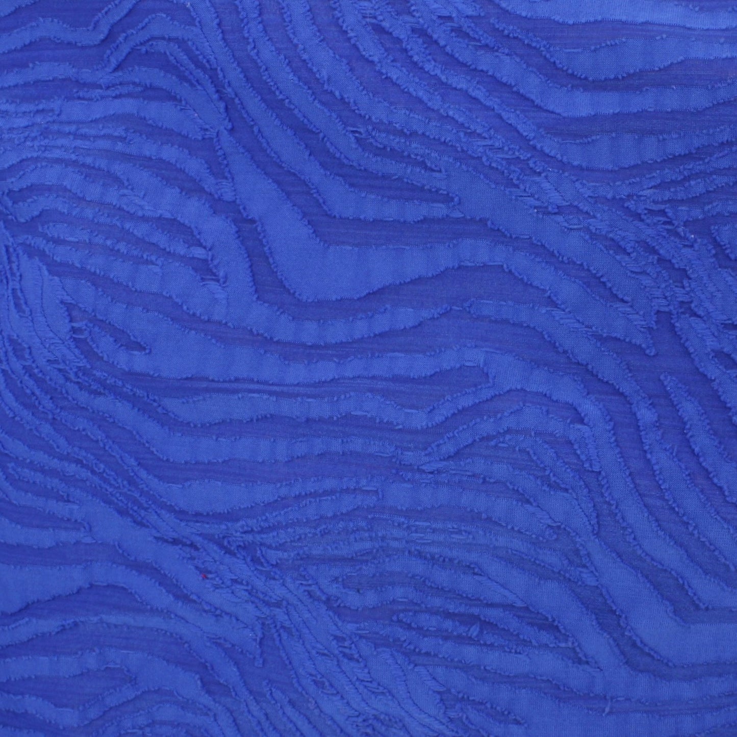 Zebra Indigo 10