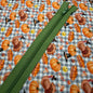 Fermeture Éclair Non-Séparable 9po,Olive
