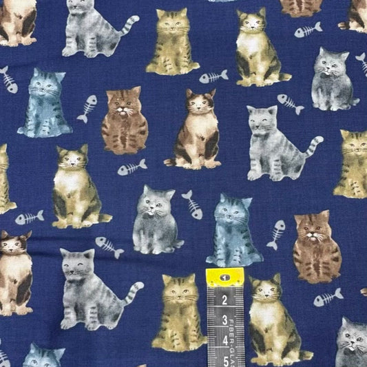 Coton Imprimé 559