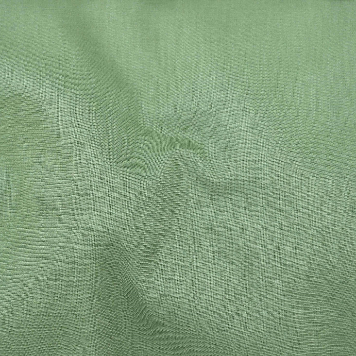 Sage Canvas 14