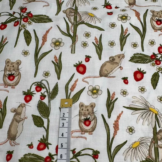 Coton Imprimé 252