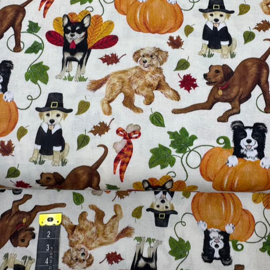 Printed Cotton 053