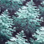 Polar 034