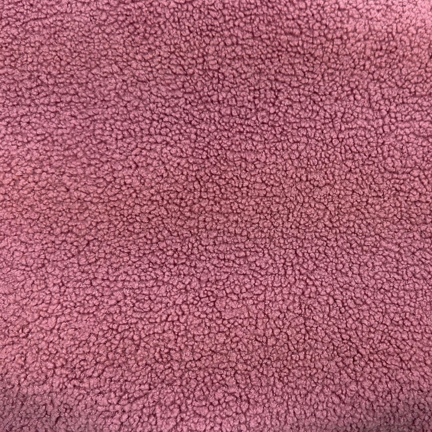 Sherpa Teddy Rose 07
