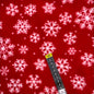 Polar 035