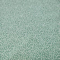 Jersey Coton 116