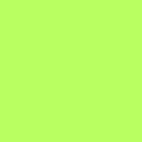 Polar Vert Néon