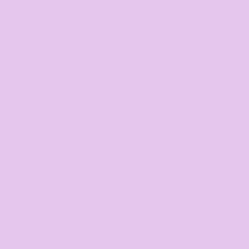 Plain Cotton Lilac Economy