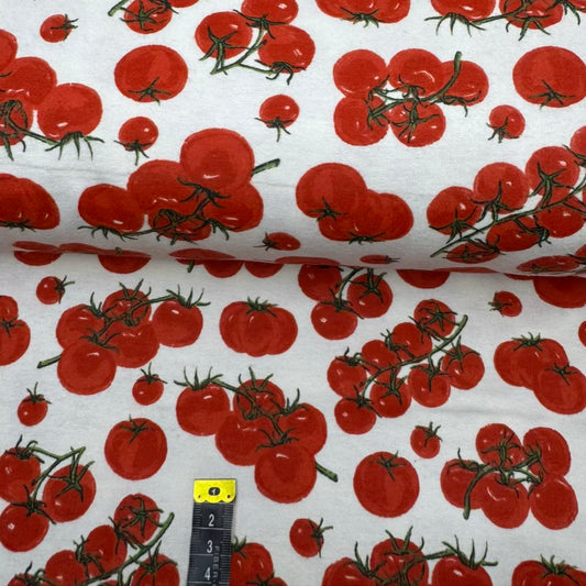 Flanelle Imprimée 160