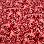 Coton Imprimé 348