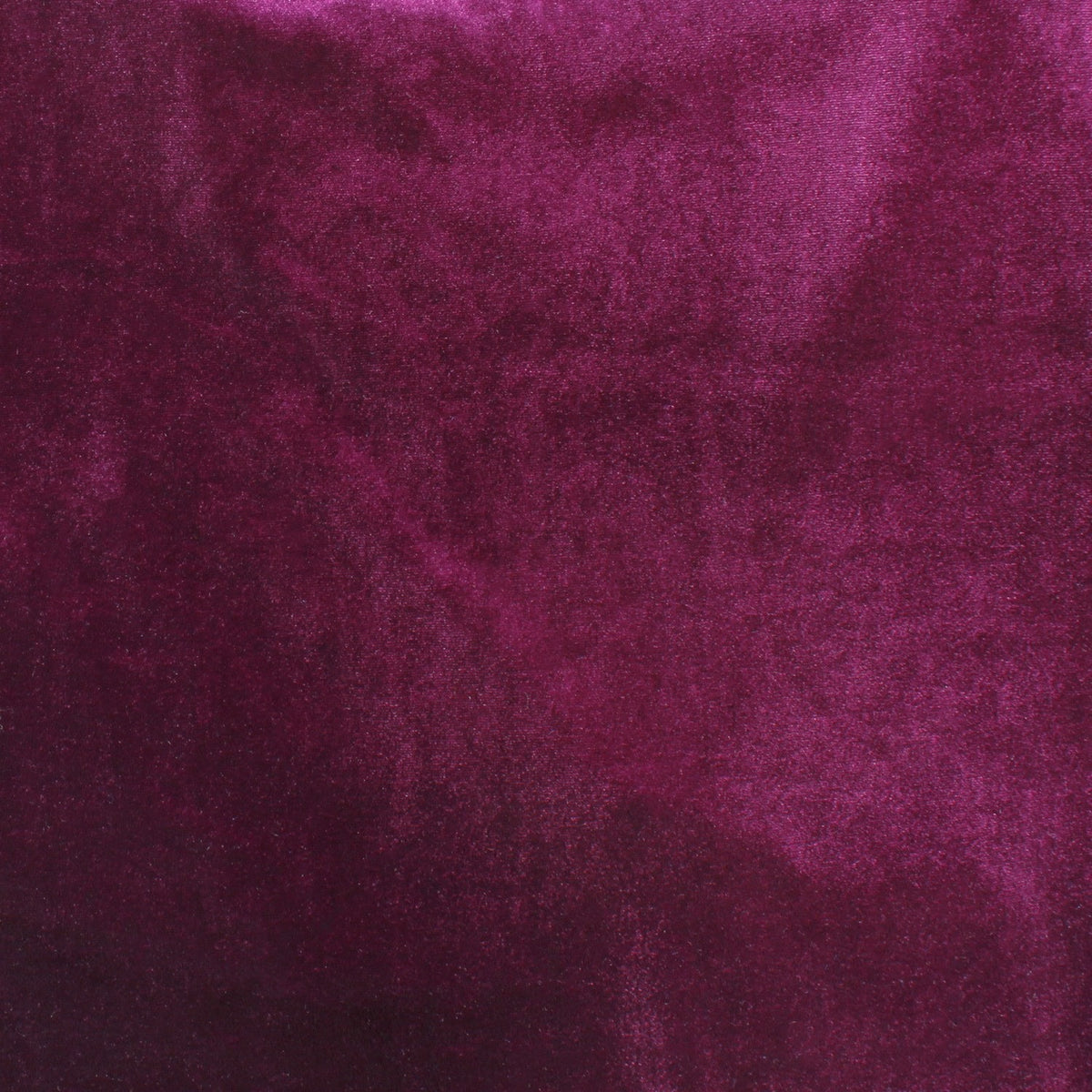 Velours Extensible Prune