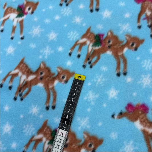 Polar 025