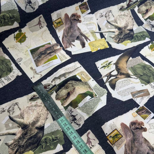 Canevas Dinosaures