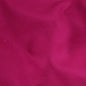 Canevas Fushia 21